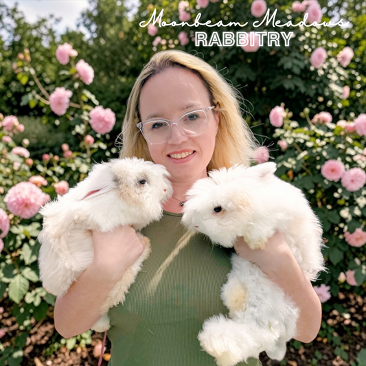 🌿 Welcome Home, Dawson & Biz-Kit 🌿