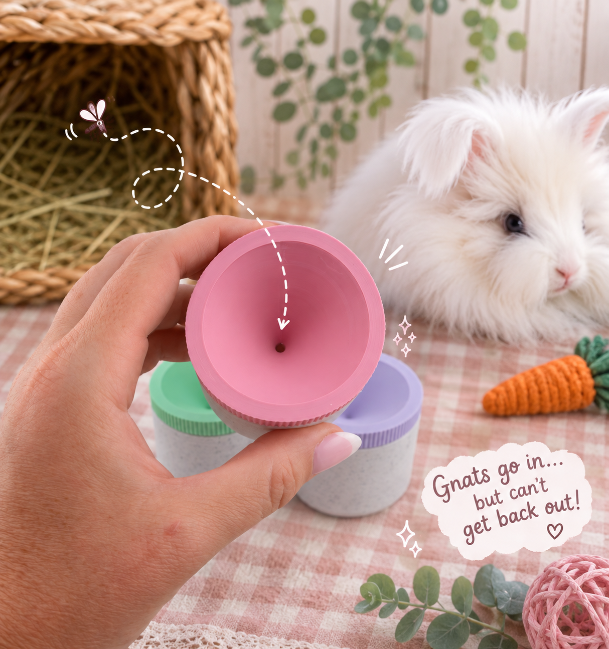 Reusable Gnat Trap for Rabbit Hutches & Rabbitries – Bunny Safe Apple Cider Vinegar Trap