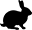 MoonbeamMeadowsRabbitry English Angora Rabbits logo
